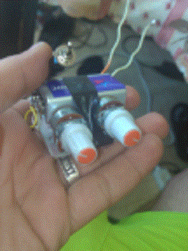 WP_000846.gif